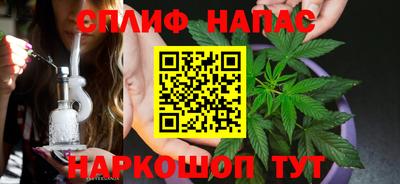 стаф Бузулук