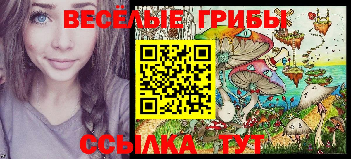 Химки  Галлюциногенные грибы GOLDEN TEACHER  Вход с VPN 